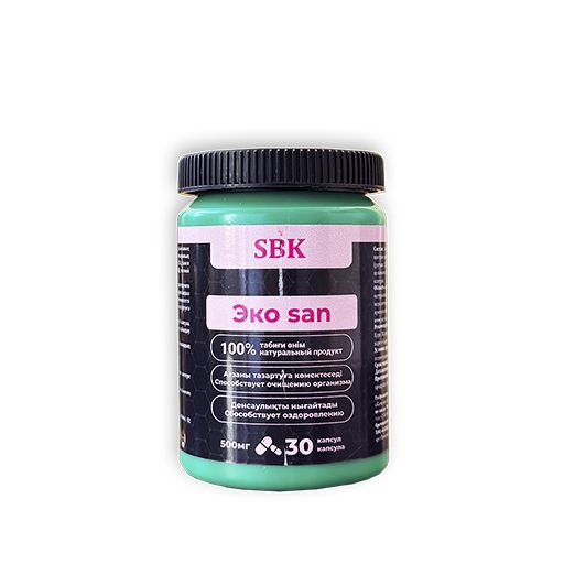 ЭКО SAN